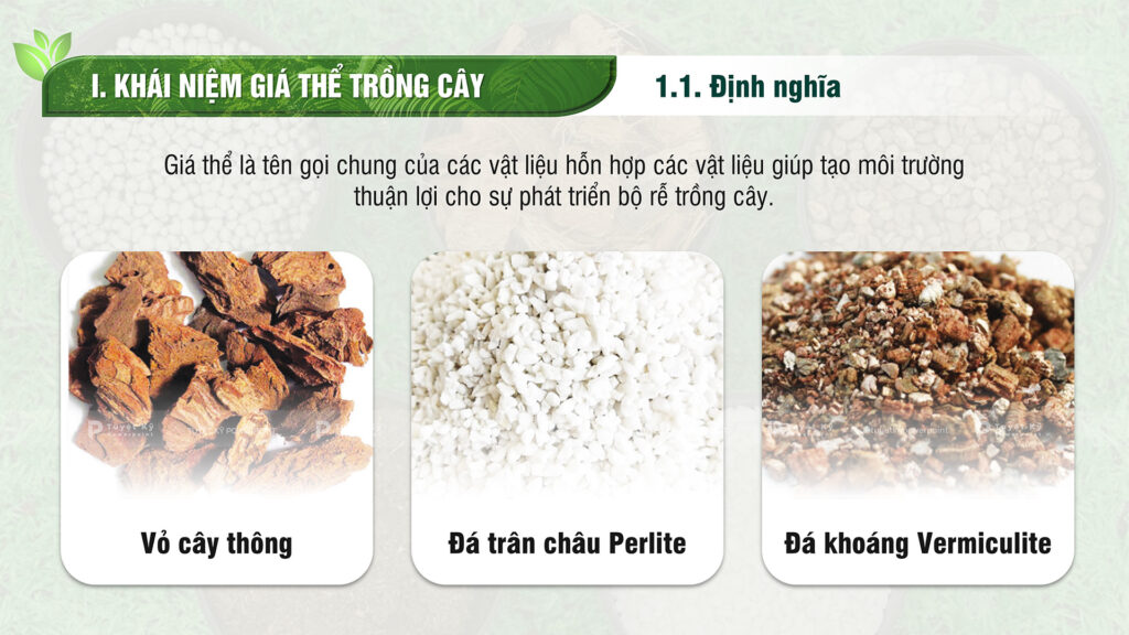 giá thể trồng cây là gì