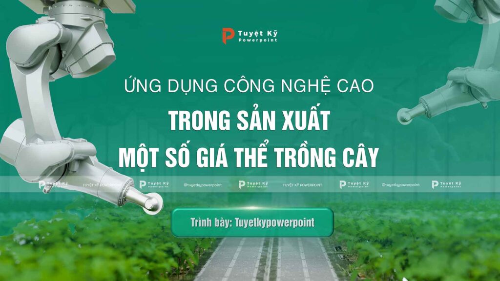 sản xuất giá thể