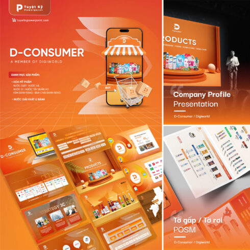 D-consumer Company Profile và tờ gấp/tờ rơi