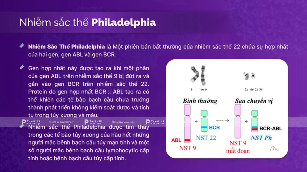 giới thiệu về nhiễm sắc thể philadelphia