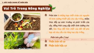 giới thiệu chung về phân bón