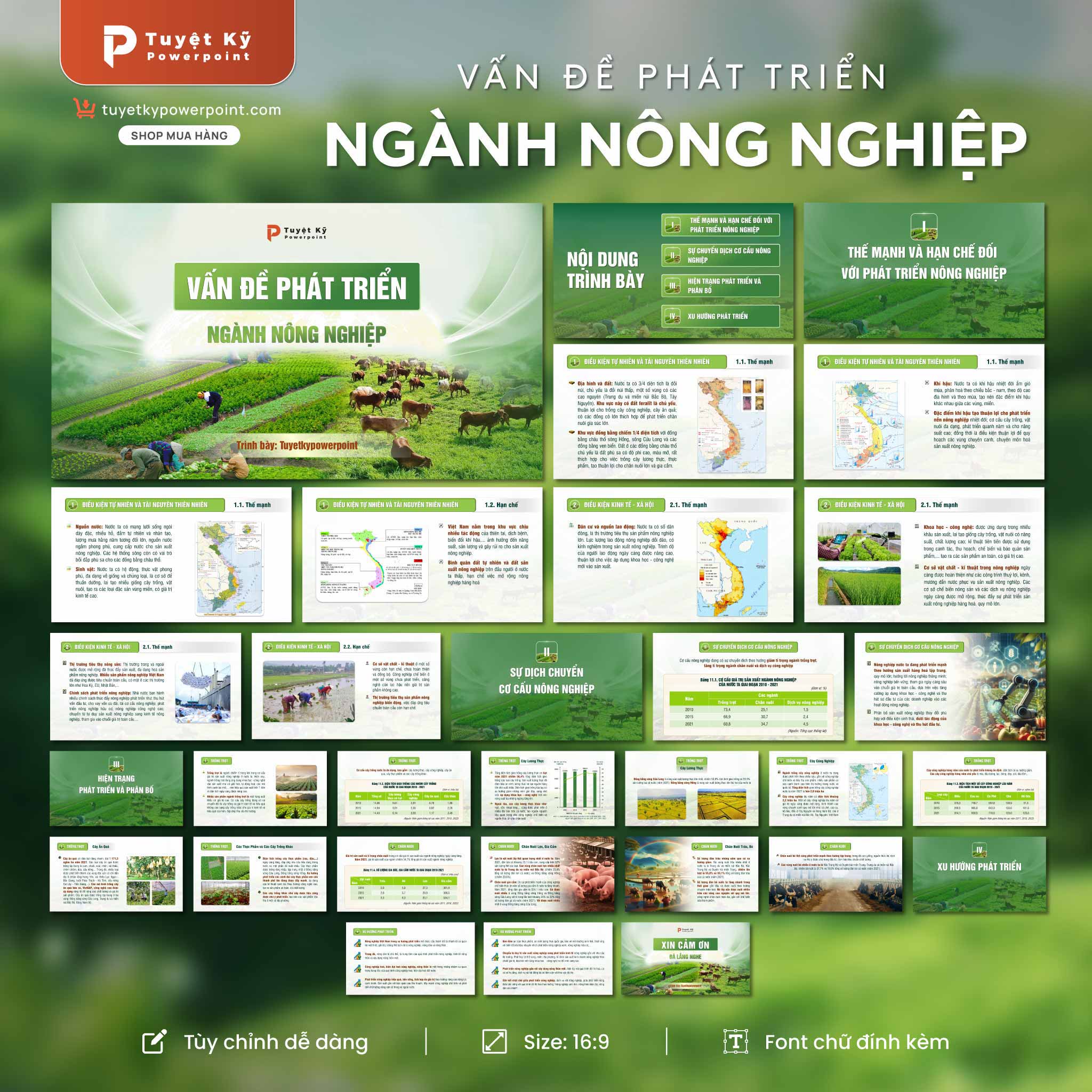 thumbnail slide vấn đề phát triển ngành nông nghiệp