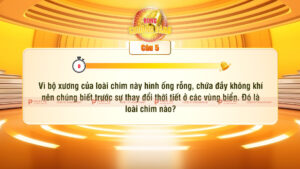 quiz đố vui rung chuông vàng - câu hỏi thí sinh tự ghi đáp án (đếm ngược 10 giây)