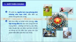 giới thiệu chung các vùng kinh tế trọng điểm ở việt nam