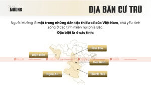 địa bàn cư trú người mường