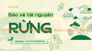 bảo vệ tài nguyên rừng