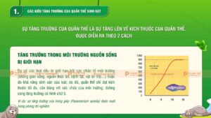 các kiểu tăng trưởng của quần thể sinh vật