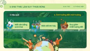 hậu quả khai thác làm suy thoái rừng