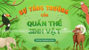 sự tăng trưởng của quần thể sinh vật