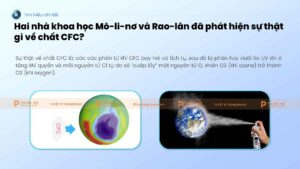 sự thật về chất cfc