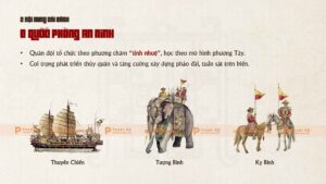 cải cách tổ chức quân đội triều nguyễn thời vua minh mạng
