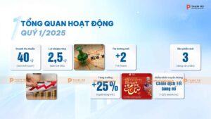 highlights tổng quan hoạt động