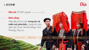 lịch sử xã hội dân tộc dao
