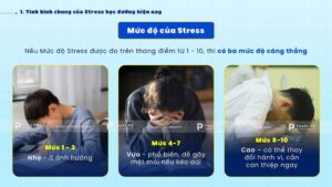 3 mức độ của stress