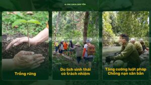 các cách bảo tồn đa dạng sinh học ở khu dự trữ sinh quyển langbiang