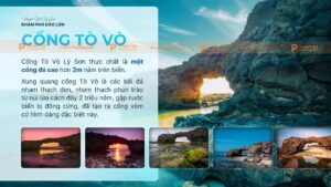 cổng tò vò