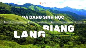 đa dạng sinh học ở khu dự trữ sinh quyển langbiang