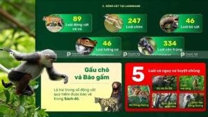 động vật tại langbiang