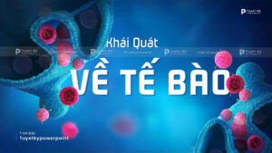 khái quát về tế bào