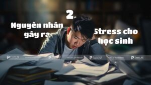 nguyên nhân gây ra stress cho học sinh