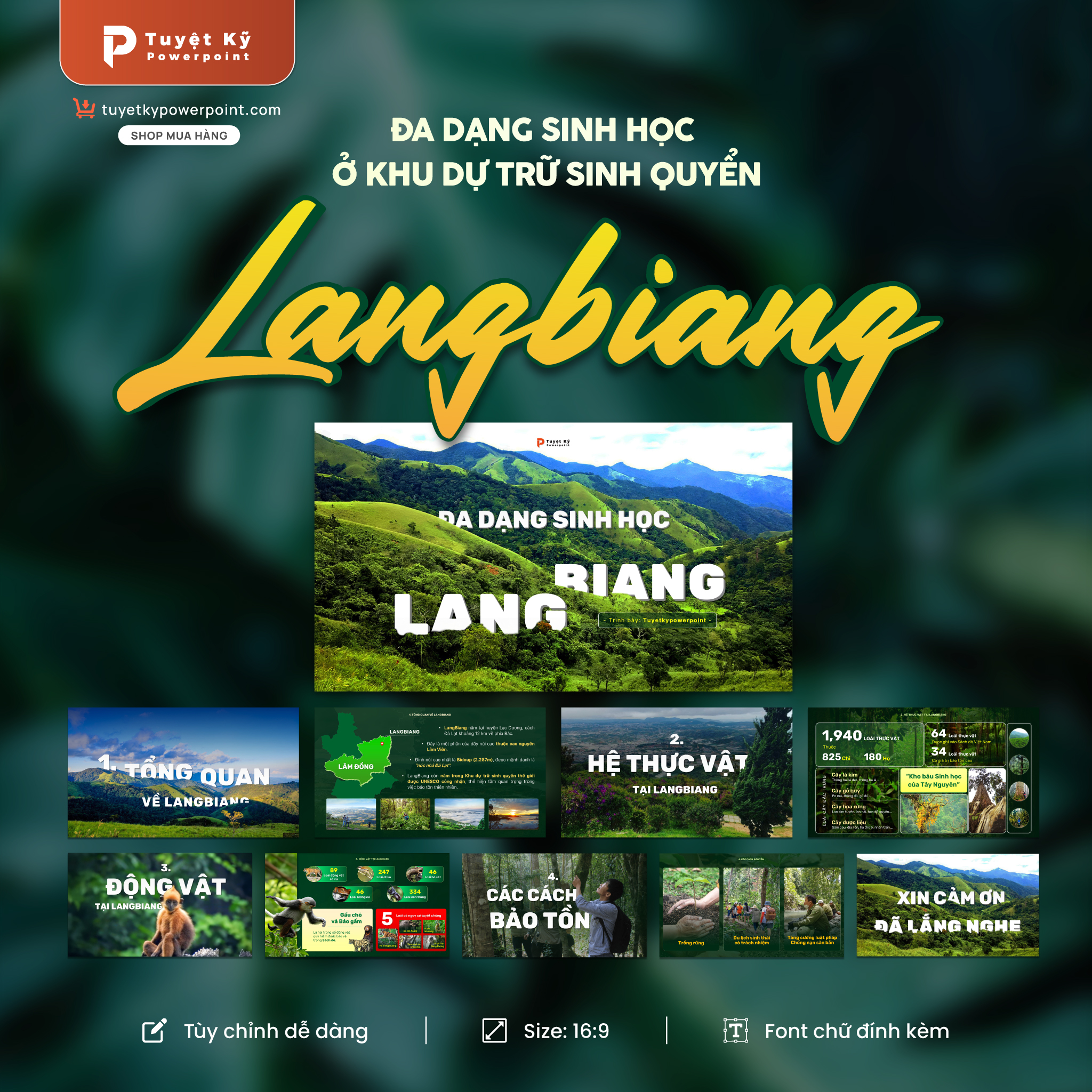 thumbnail đa dạng sinh học ở khu dự trữ sinh quyển langbiang