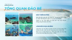 tổng quan đảo bé đảo lý sơn