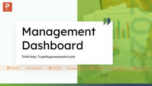 Management Dashboard