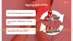 Sơ cứu căn bản khi ngưng thở