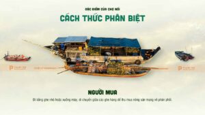 đặc điểm của chợ nổi cái răng