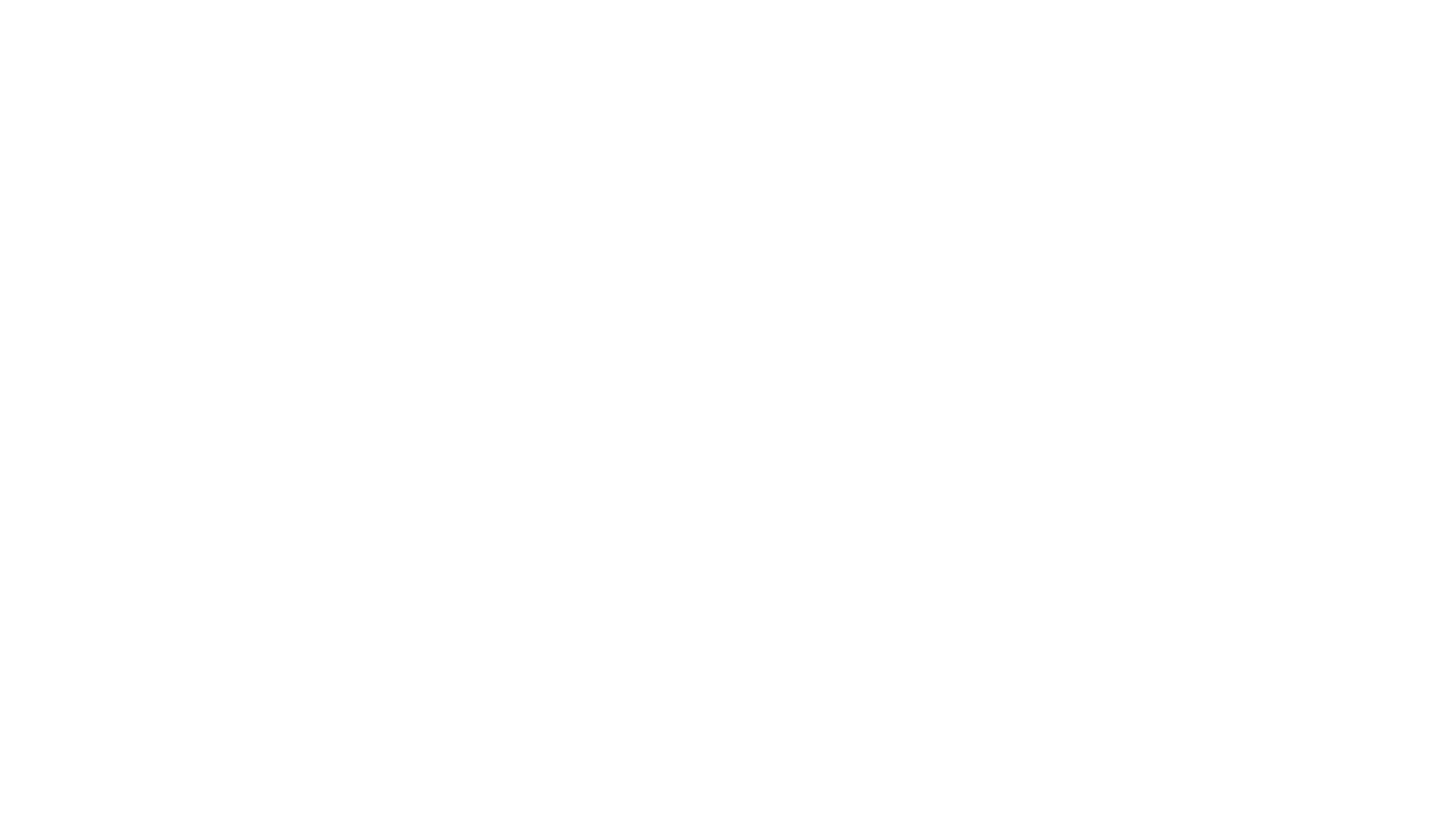 Logo Pudong Prime Group