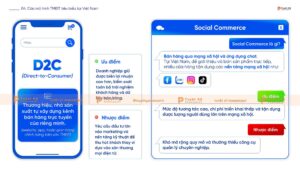 các mô hình thương mại điện tử tại việt nam