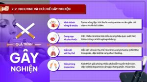 nicotine và cơn gây nghiện