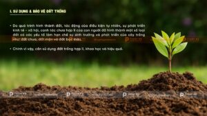 sử dụng và bảo vệ đất trồng