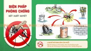 biện pháp phòng chống sốt xuất huyết