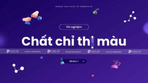 chất chỉ thị màu
