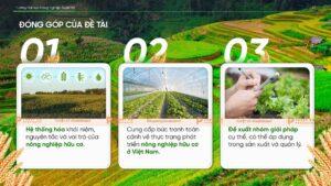 đóng góp đề tài luân văn phát triển nông nghiệp hữu cơ