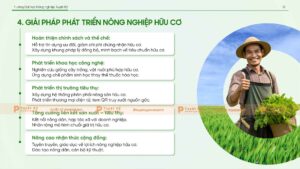giải pháp phát triển nông nghiệp hữu cơ