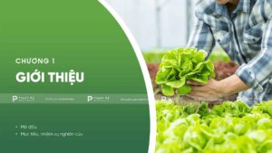 giới thiệu luận văn phát triển nông nghiệp hữu cơ