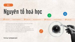 hóa học 10 bài 3 nguyên tố hóa hoc