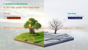 khí hậu phân hóa theo mùa