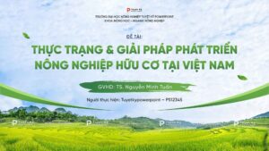 luận văn phát triển nông nghiệp hữu cơ