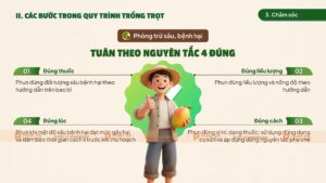 phòng trừ sâu bệnh hại cho cây trồng