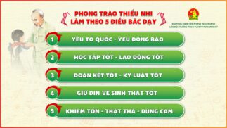 Đại hội Liên Đội | Mẫu Slide PowerPoint đẹp, trang trọng
