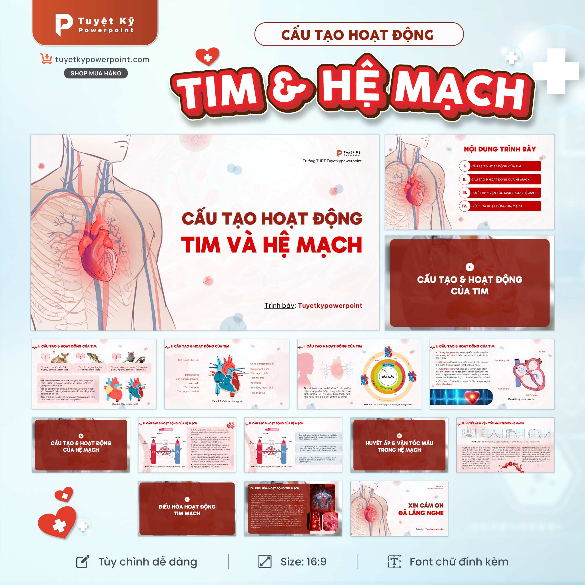 cấu tạo hoạt động tim và hệ mạch