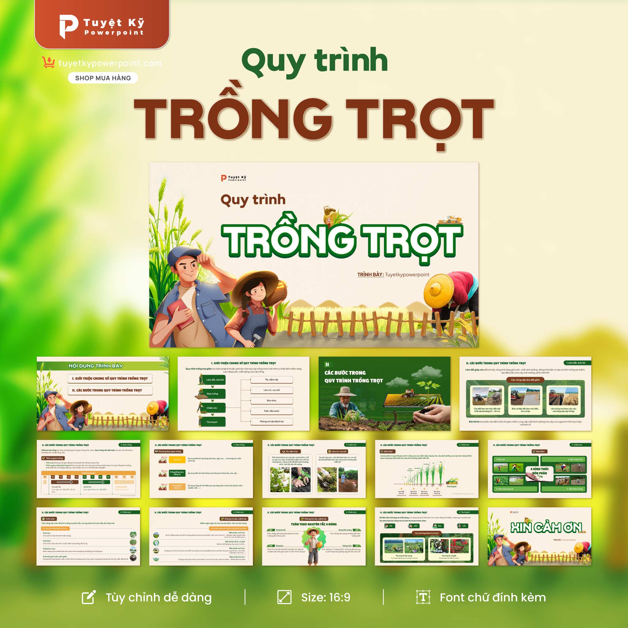 công nghệ 7 quy trình trồng trọt