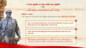 con người và bản chất con người