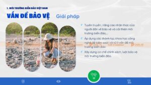 giải pháp môi trường biển