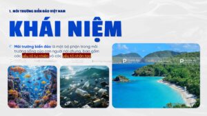 khái niệm môi trường biển đảo việt nam