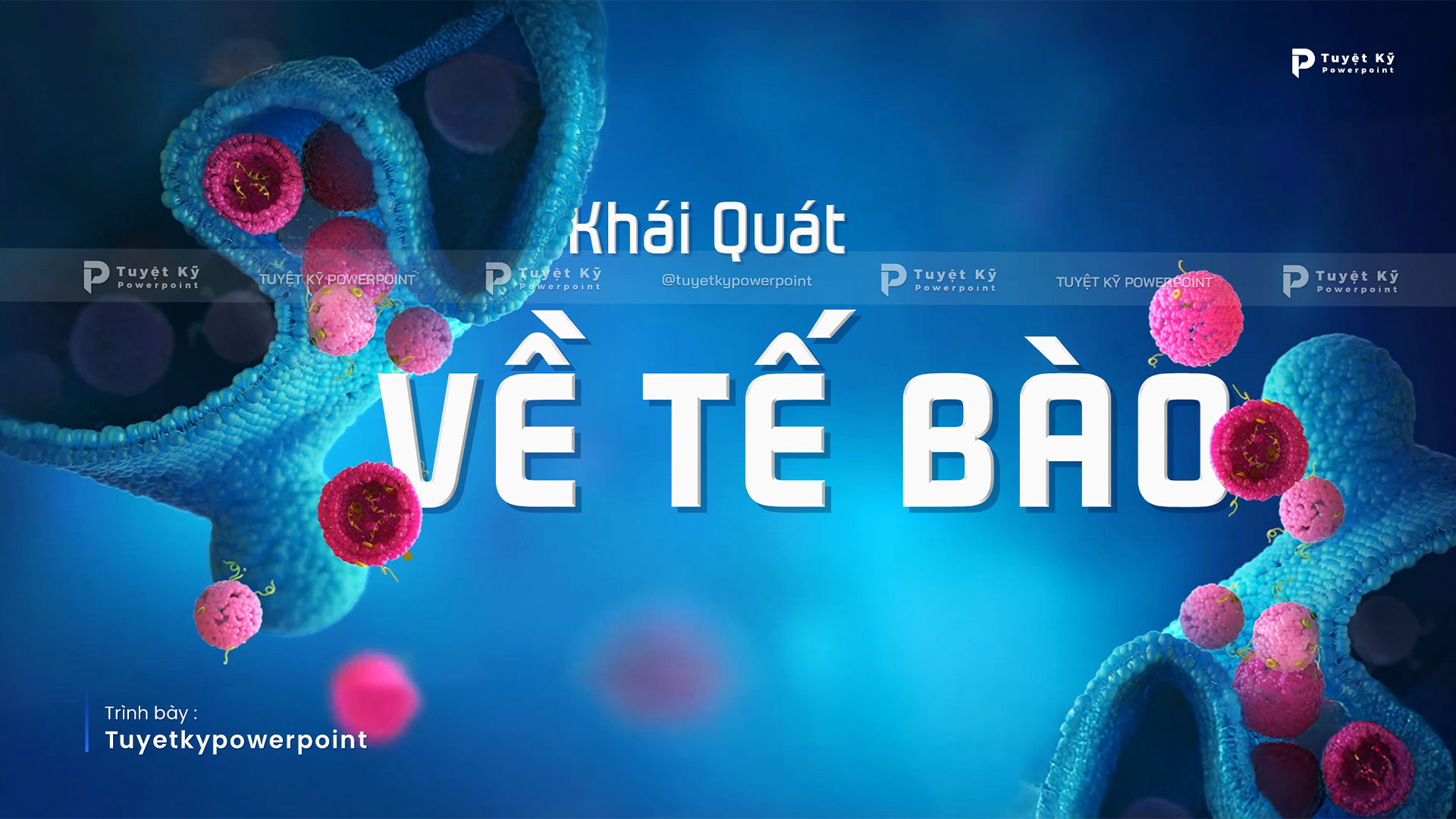 khái quát về tế bào khái quát về tế bào