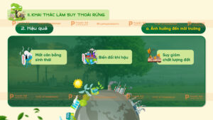 khai thác làm suy thoái rừng